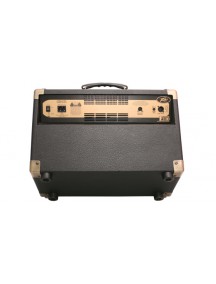 Peavey Ecoustic E110 with Footcontroller