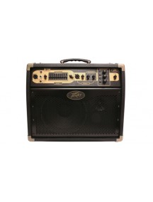 Peavey Ecoustic E110 with Footcontroller