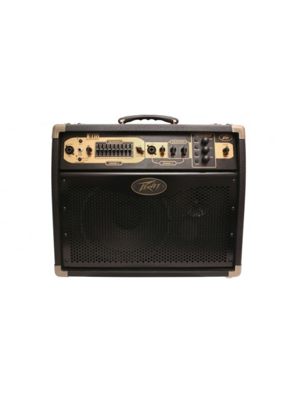 Peavey Ecoustic E110 with Footcontroller