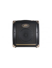 Peavey Ecoustic E20