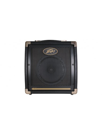 Peavey Ecoustic E20