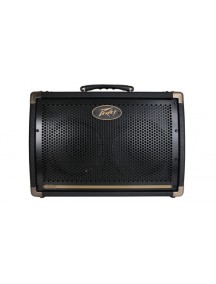 Peavey Ecoustic E208