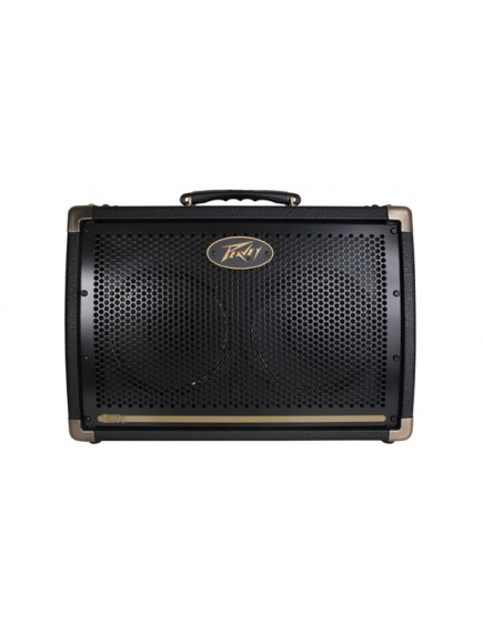 Peavey Ecoustic E208