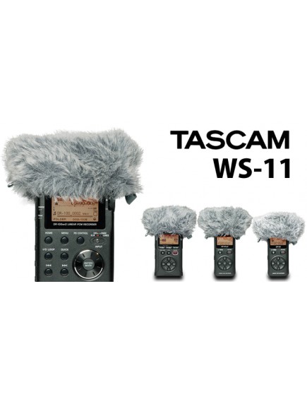 Tascam WS-11